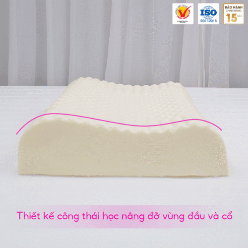 Goi cao su thien nhien thang loi masage hien dai