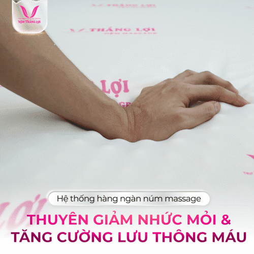 Alternative view of NỆM CAO SU FOAM MASSAGE THẮNG LỢI