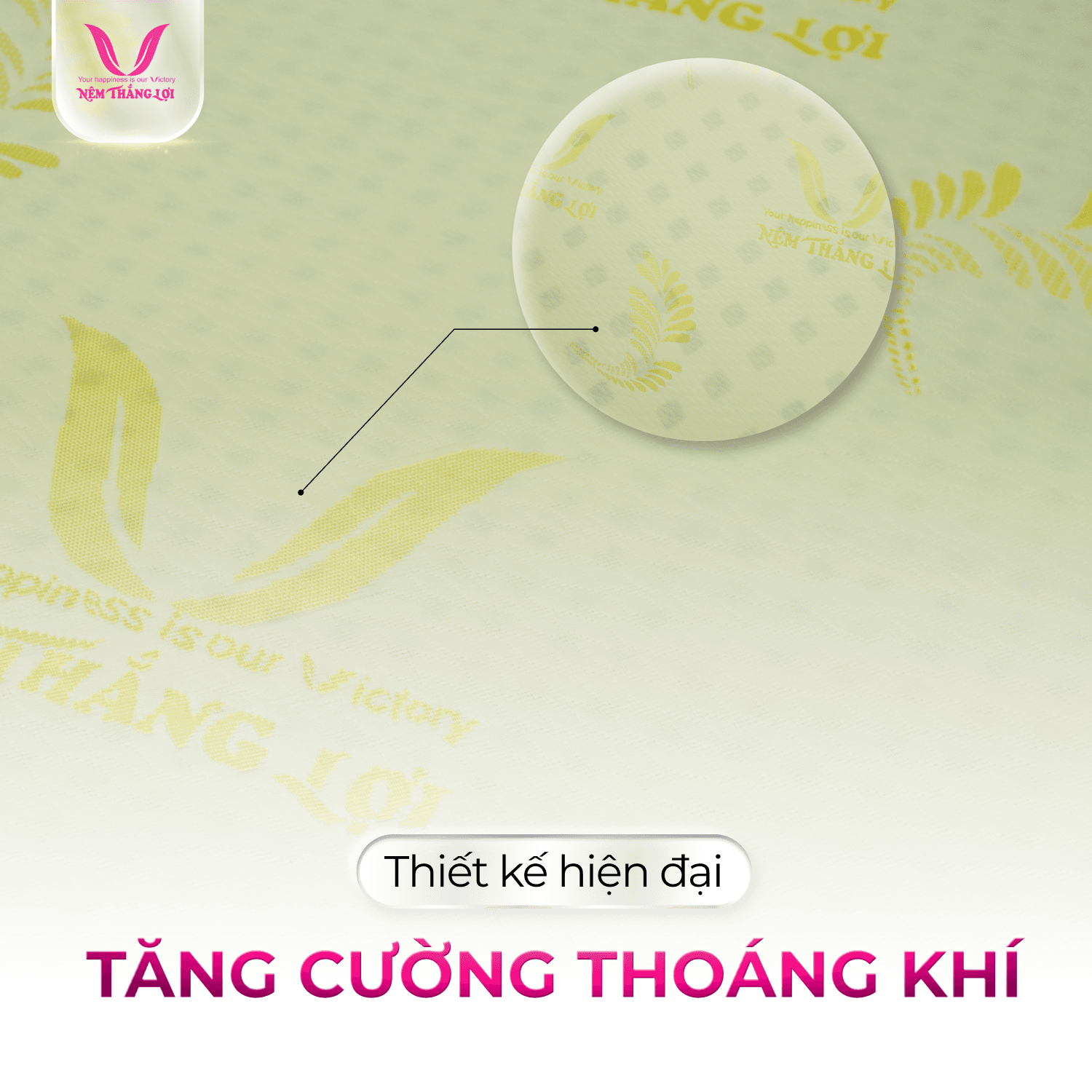 NỆM CAO SU GOLED LATEX THẮNG LỢI - Ảnh 3