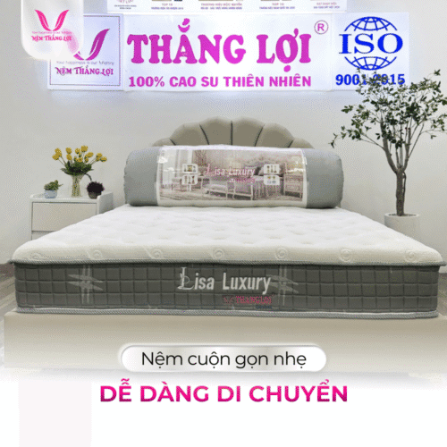 nemthangloichinhhang.vn lo xo lisa luxury cuon