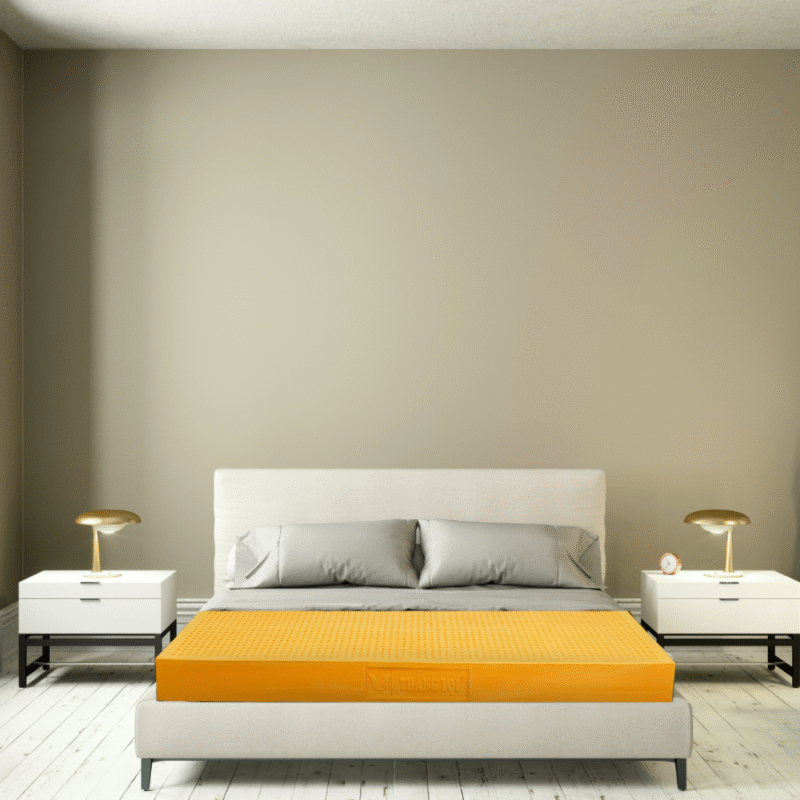 Nem CSTN Thang Loi SuSu Original 900 x 900