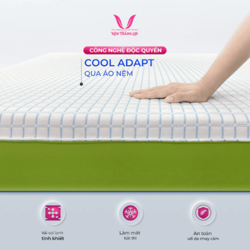 nemthangloichinhhang.vn cong nghe doc quyen