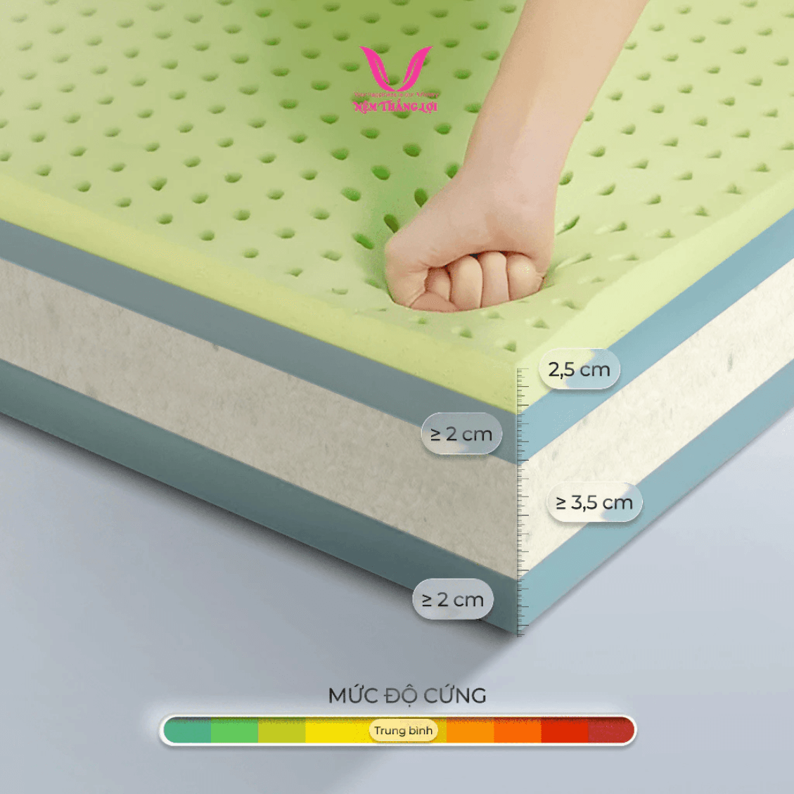 NỆM CAO SU THIÊN NHIÊN ĐIỀU HÒA HYBRID MATCHA COOL THẮNG LỢI - Ảnh 7