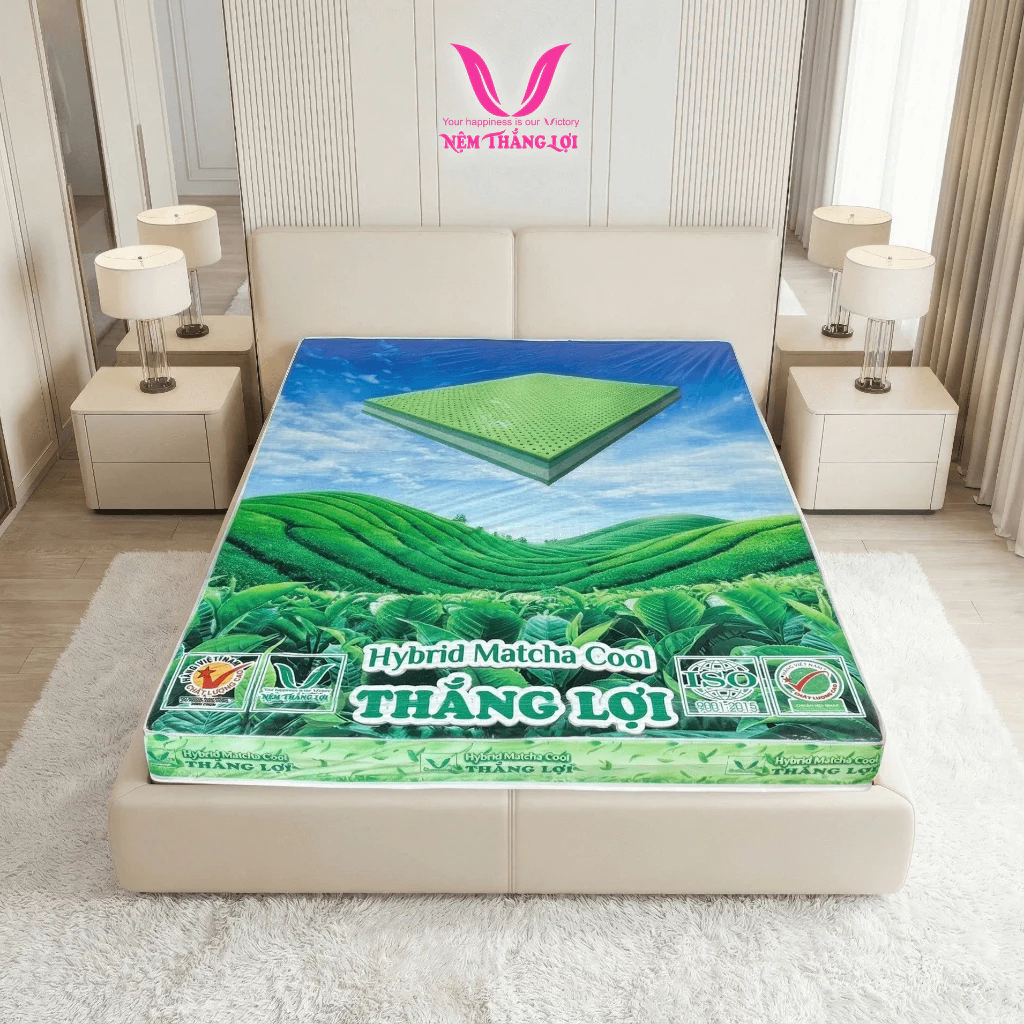 NỆM CAO SU THIÊN NHIÊN ĐIỀU HÒA HYBRID MATCHA COOL THẮNG LỢI - Ảnh 9