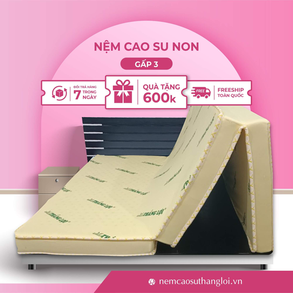 giá nệm cao su non Thắng Lợi 