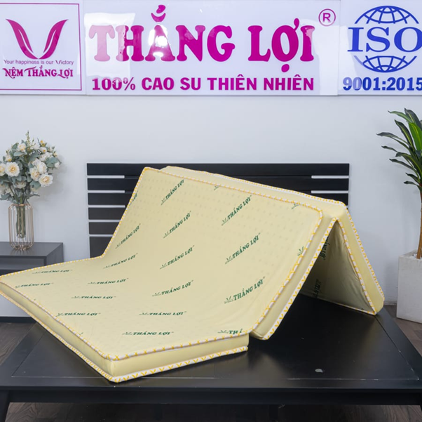 nệm cao su non Thắng Lợi 1m6