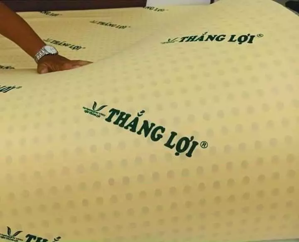 nệm cao su non Thắng Lợi 10cm