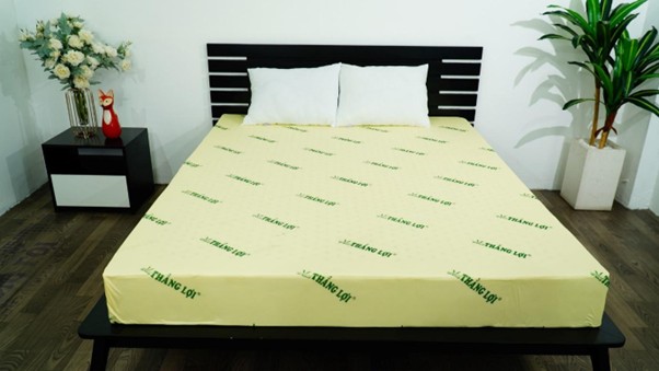 nệm Thắng Lợi có bị lún